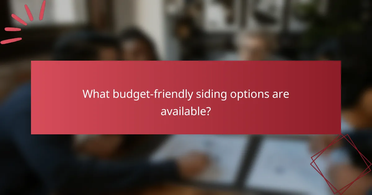 What budget-friendly siding options are available?